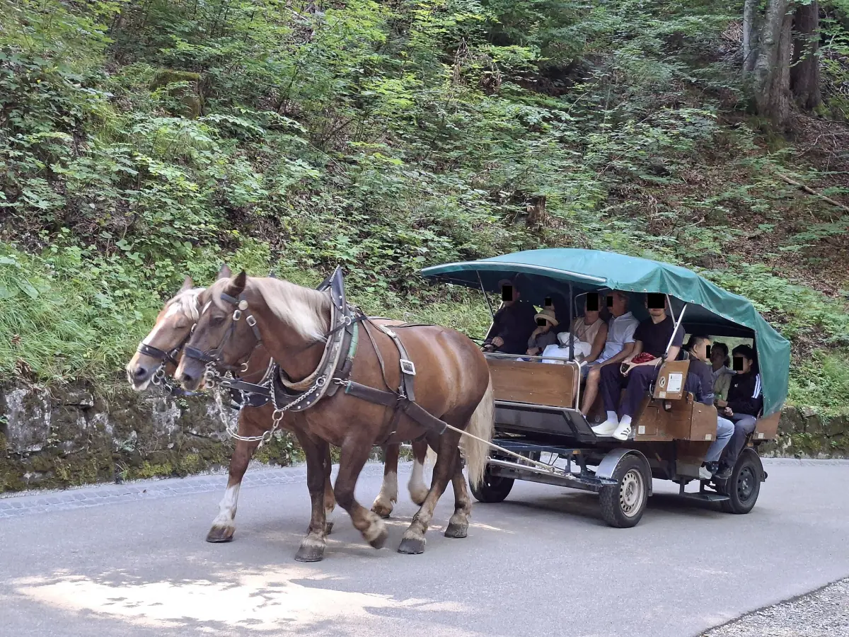A horse carriage on the road up to Neuschwanstein